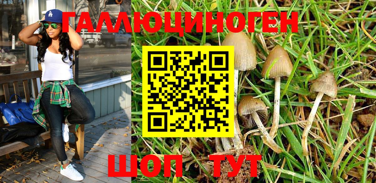 Галлюциногенные грибы MAGIC MUSHROOMS Новозыбков