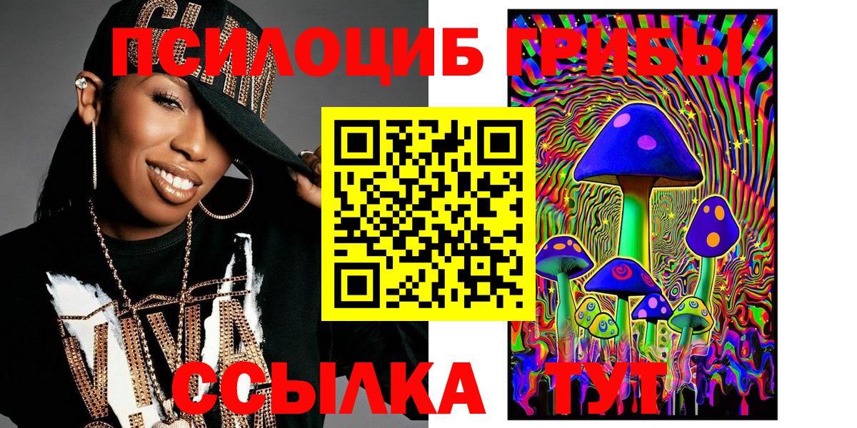 Галлюциногенные грибы Psilocybe  Вход с VPN  Галлюциногенные грибы GOLDEN TEACHER  Новозыбков 
